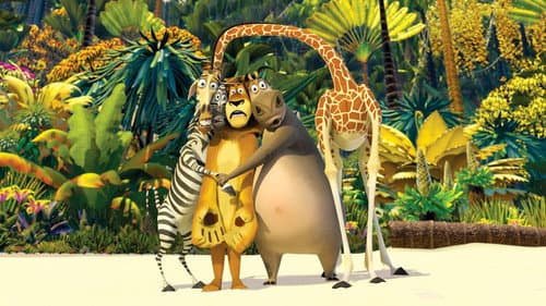 Madagaszkár – 3. kép