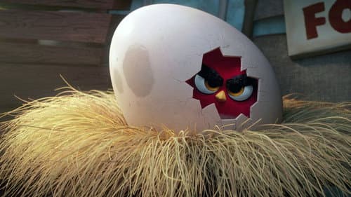 Angry Birds - A film – 9. kép