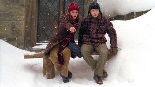Harry Potter és az Azkabani fogoly – 10. kép
