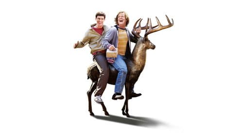 Dumb és Dumber kettyó – 8. kép