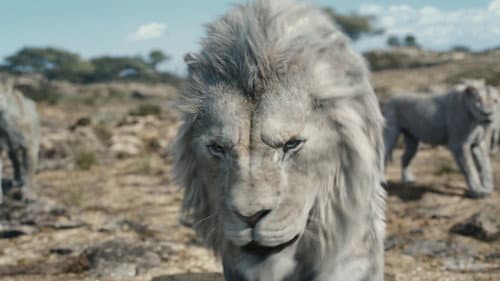 Mufasa: Az oroszlánkirály – 9. kép