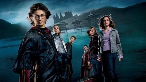Harry Potter és a Tűz serlege – 1. kép