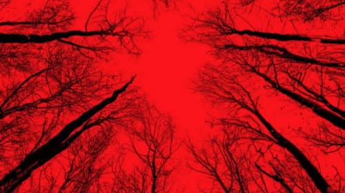 Blair Witch: Ideglelés 3. – 7. kép