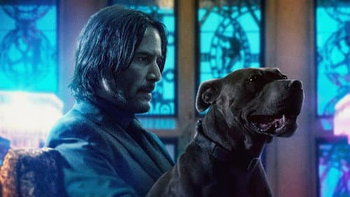 John Wick: 3. felvonás - Parabellum – 4. kép