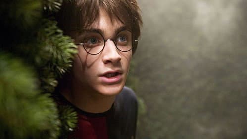 Harry Potter és a Tűz serlege – 11. kép