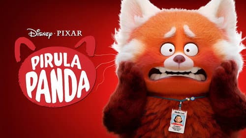 Pirula panda – 6. kép