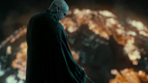 Harry Potter és a Halál ereklyéi 2. rész – 8. kép
