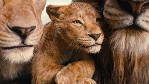 Mufasa: Az oroszlánkirály – 10. kép