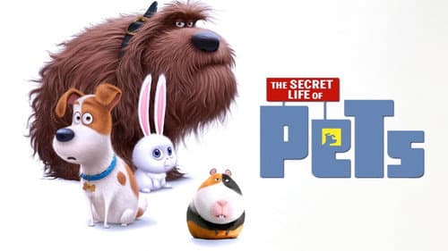 A kis kedvencek titkos élete – 1. kép