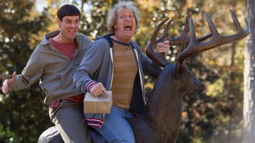 Dumb és Dumber kettyó – 5. kép
