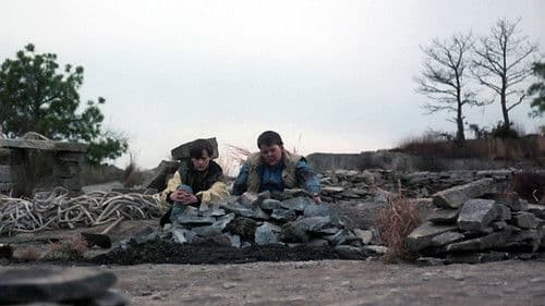 Kedvencek temetője 2 – 5. kép