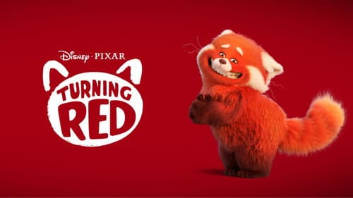 Pirula panda – 4. kép