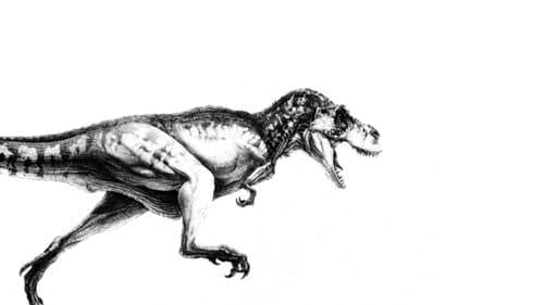 Jurassic Park – 12. kép