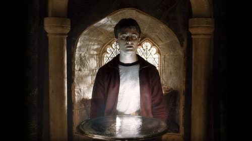 Harry Potter és a Főnix rendje – 12. kép
