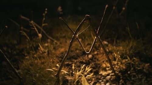 Shelby Oaks - A gonosz nyomában – 9. kép