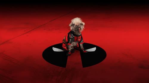 Deadpool & Rozsomák – 9. kép