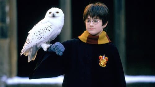 Harry Potter és a Bölcsek köve – 10. kép