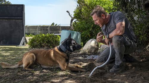 K9: Farkasok városa – 1. kép