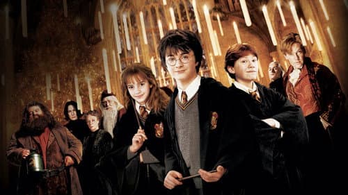 Harry Potter és a Titkok kamrája – 1. kép