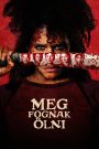 Meg fognak ölni